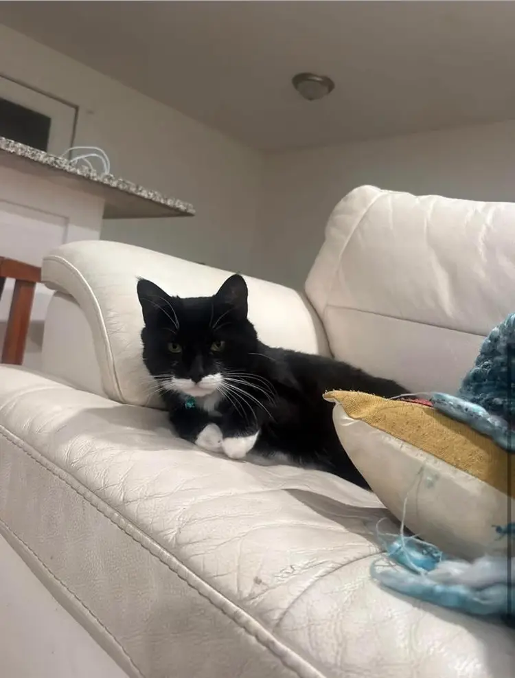 Looking for roommate!