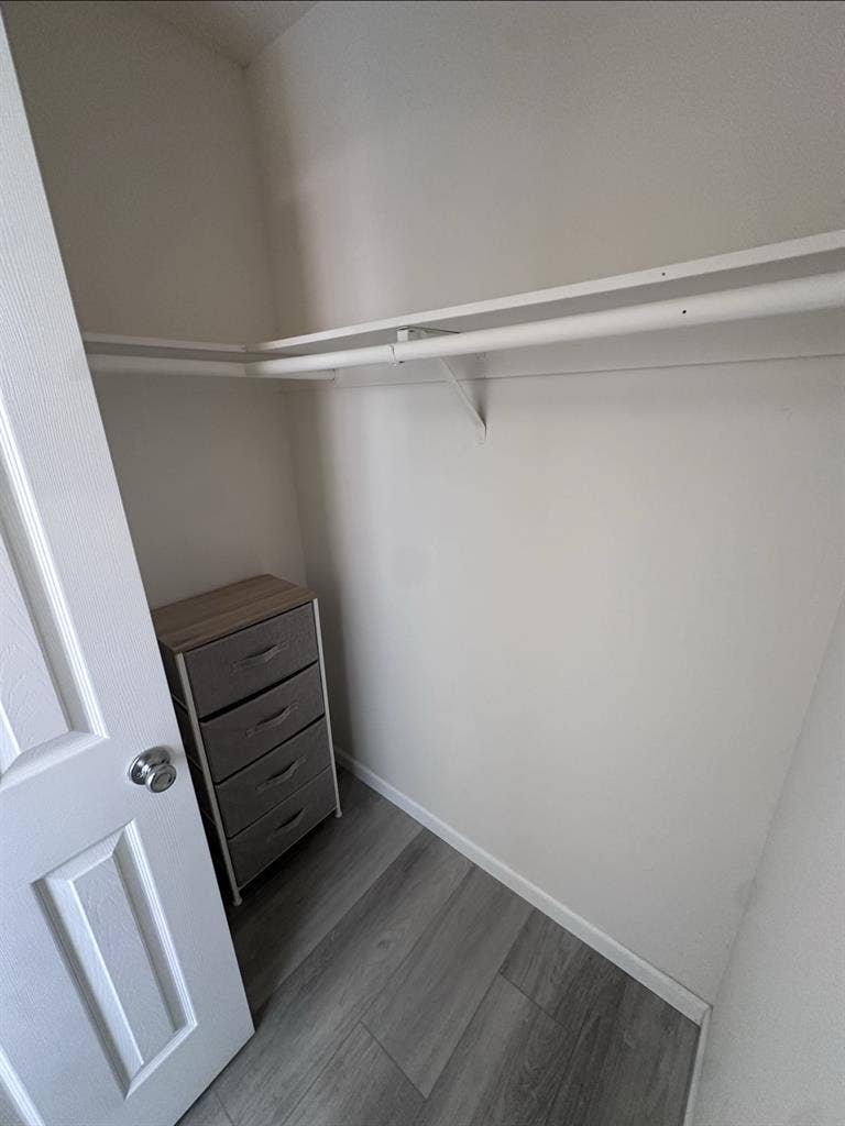 Room available!