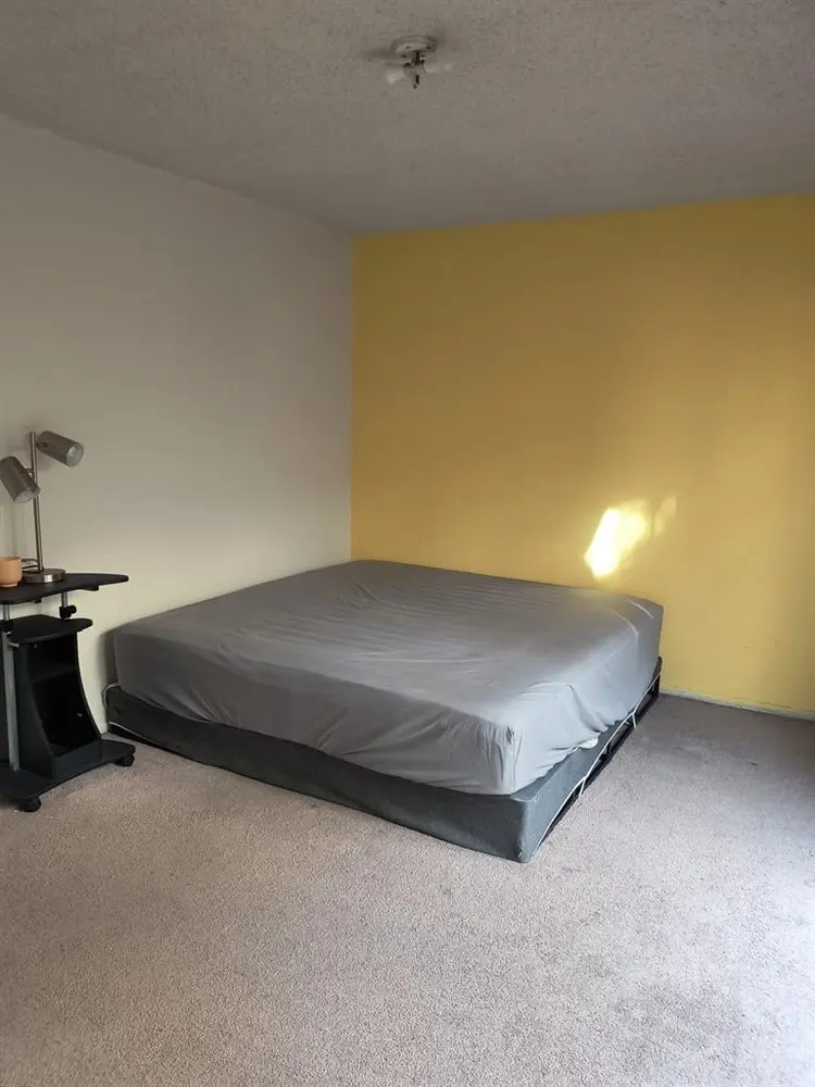 Private room + private bathroom