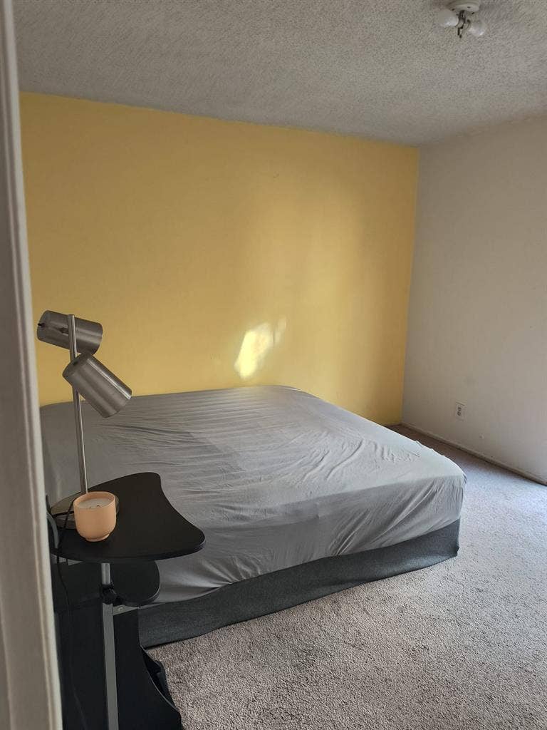 Private room + private bathroom