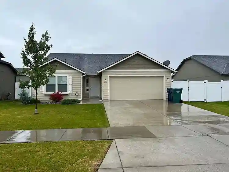 Looking for New Roommate
