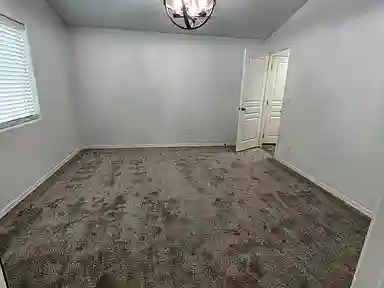 Looking for New Roommate
