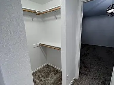 Looking for New Roommate