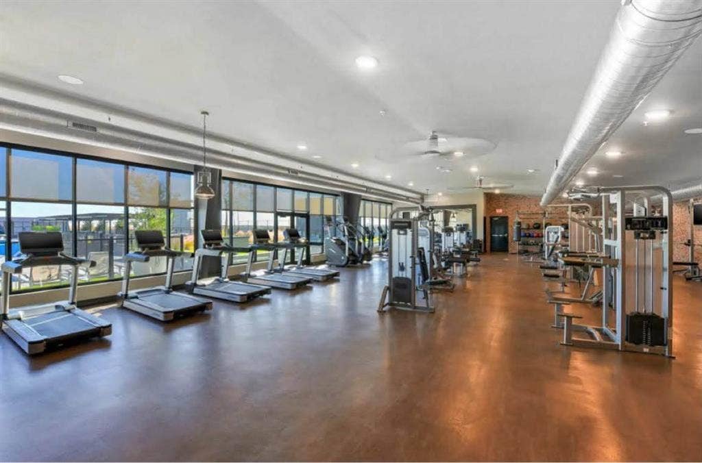 Looking to transfer lease (male)