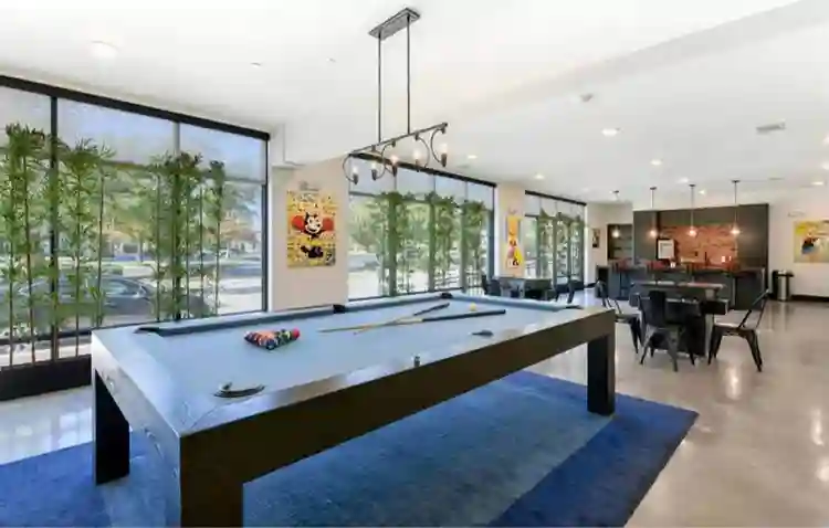 Looking to transfer lease (male)