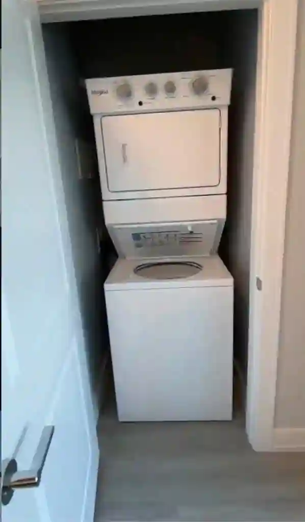 Looking to transfer lease (male)
