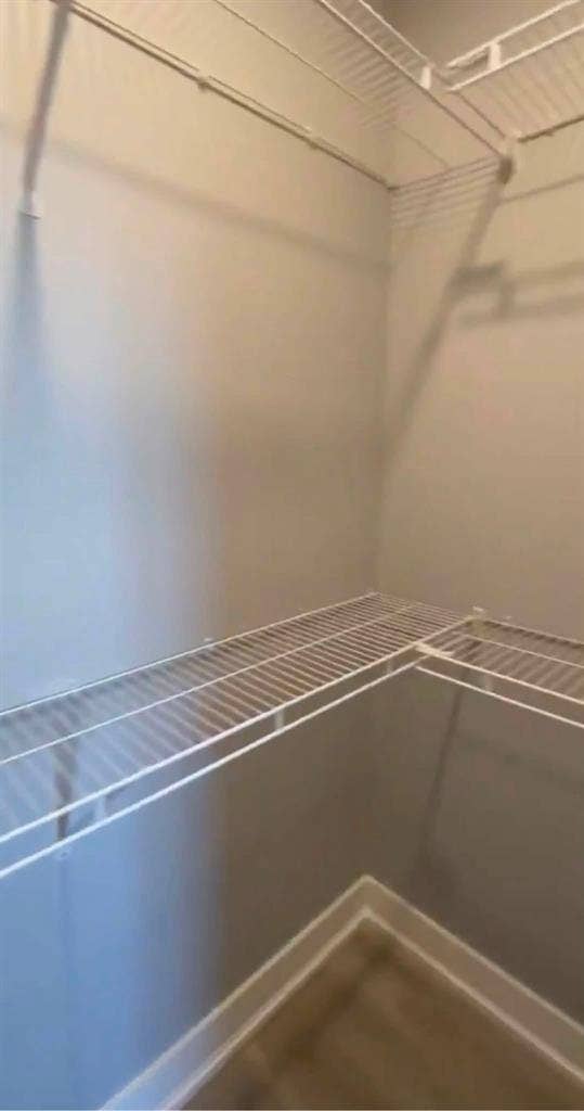 Looking to transfer lease (male)