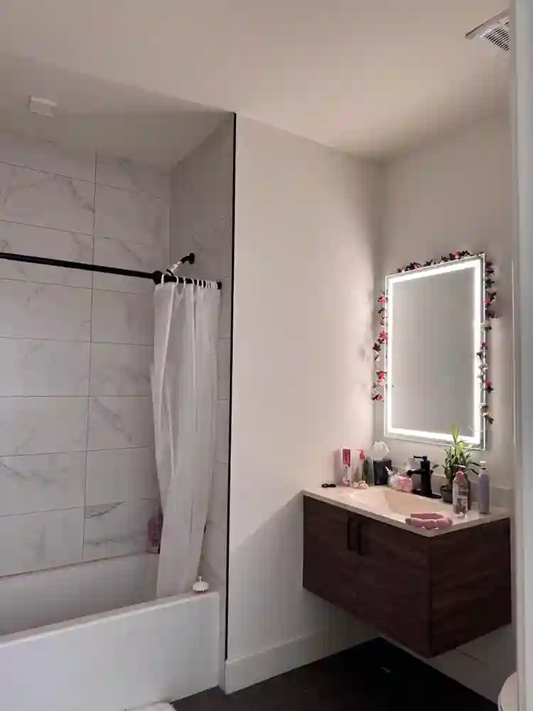 Looking for a roommate
