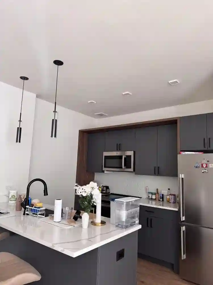 Looking for a roommate