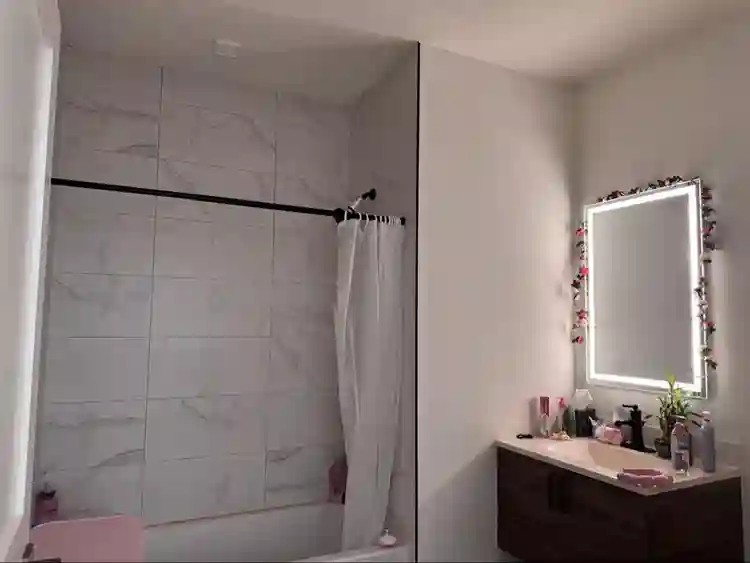 Looking for a roommate