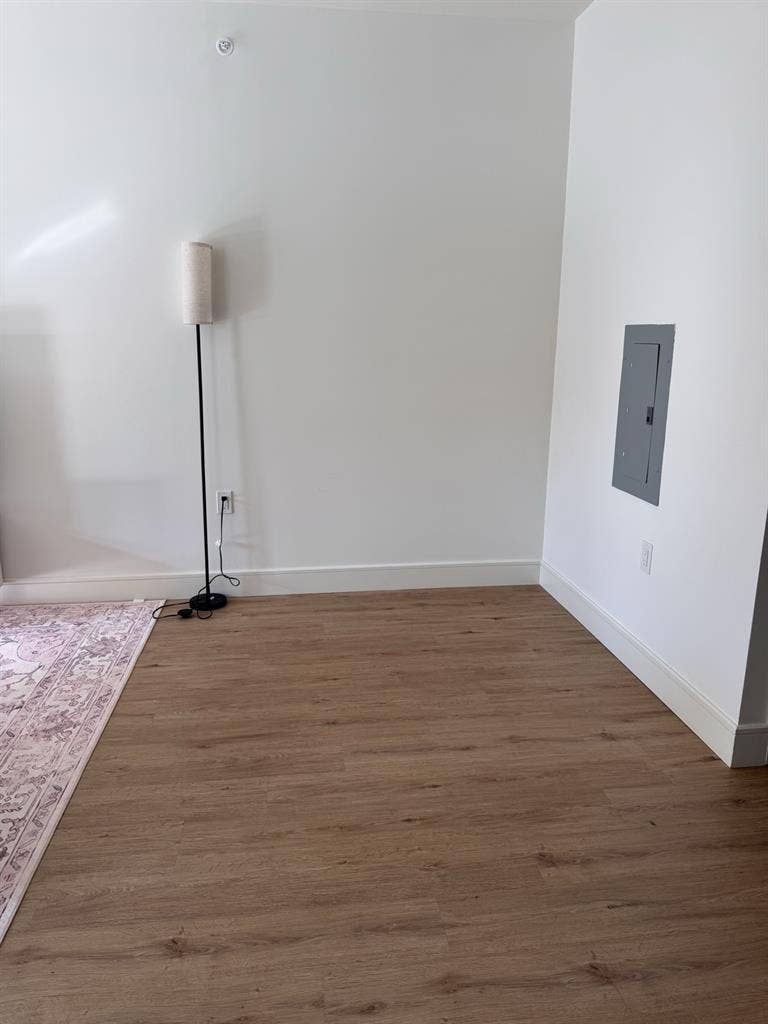 Looking for a roommate