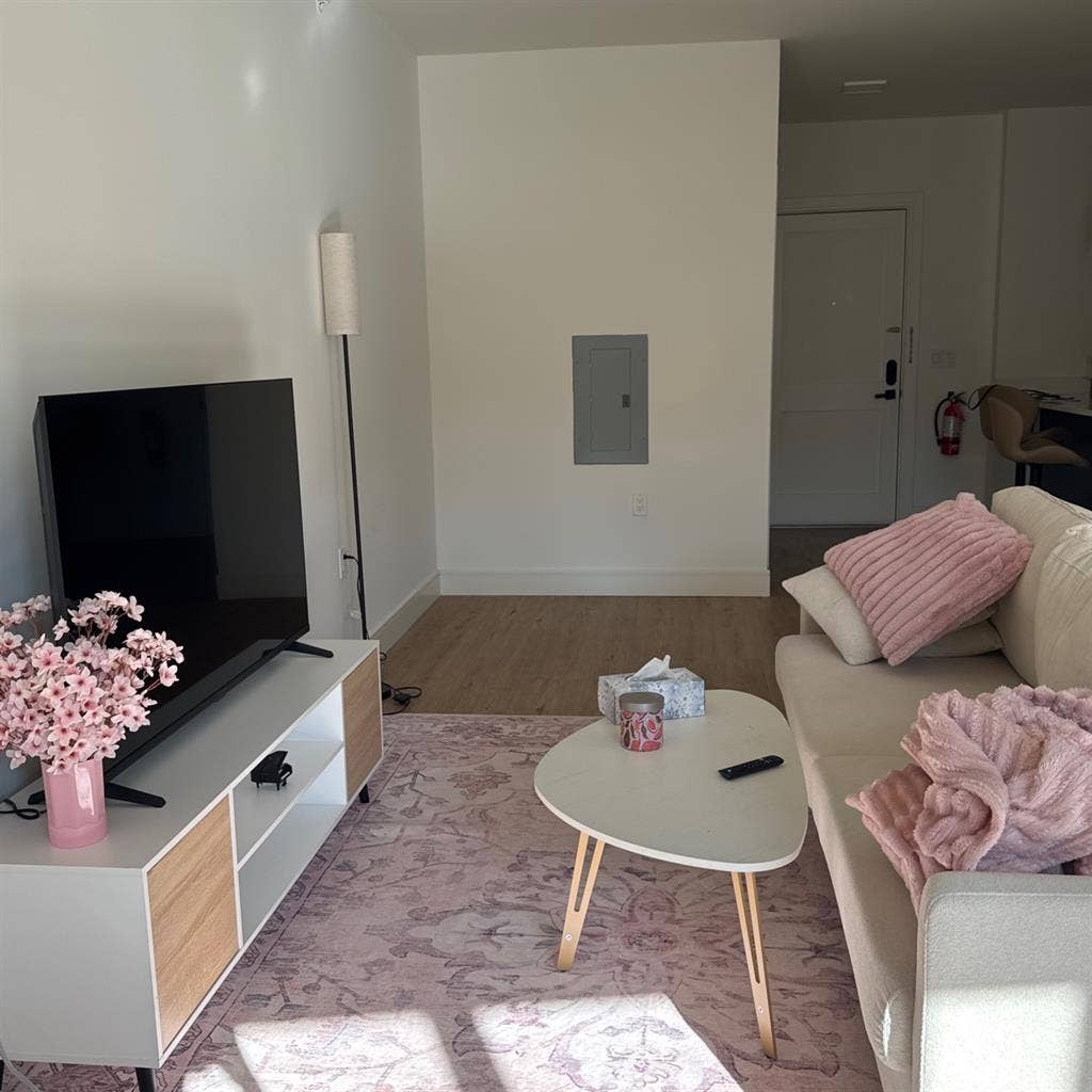 Looking for a roommate