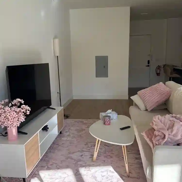 Looking for a roommate