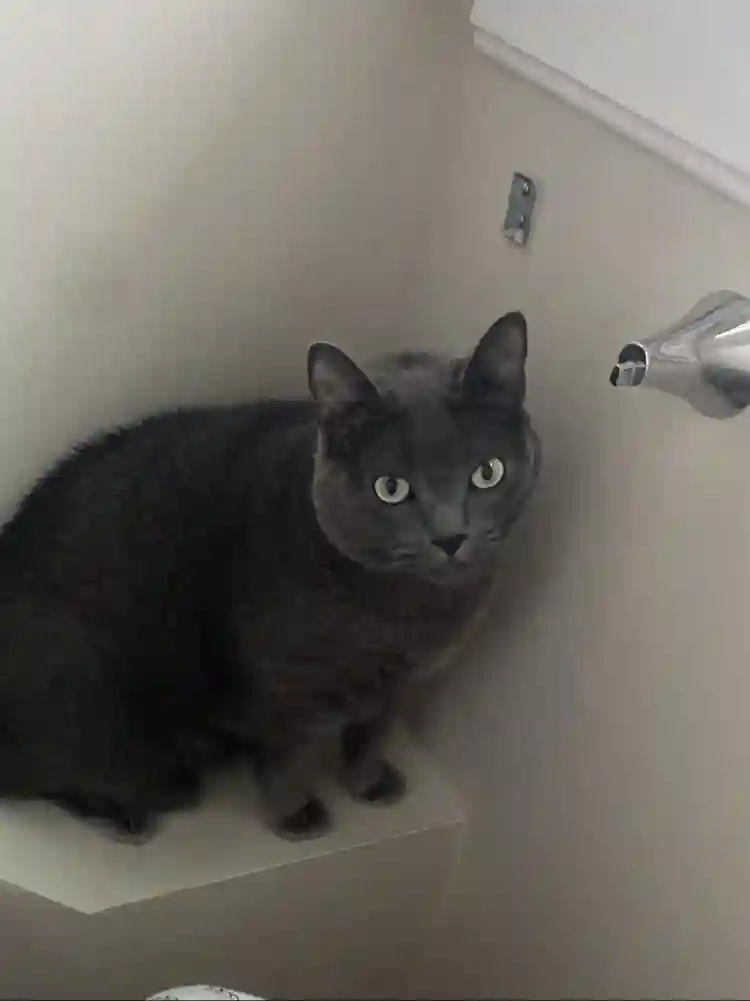 Cute 3 bed apartment in Salem
