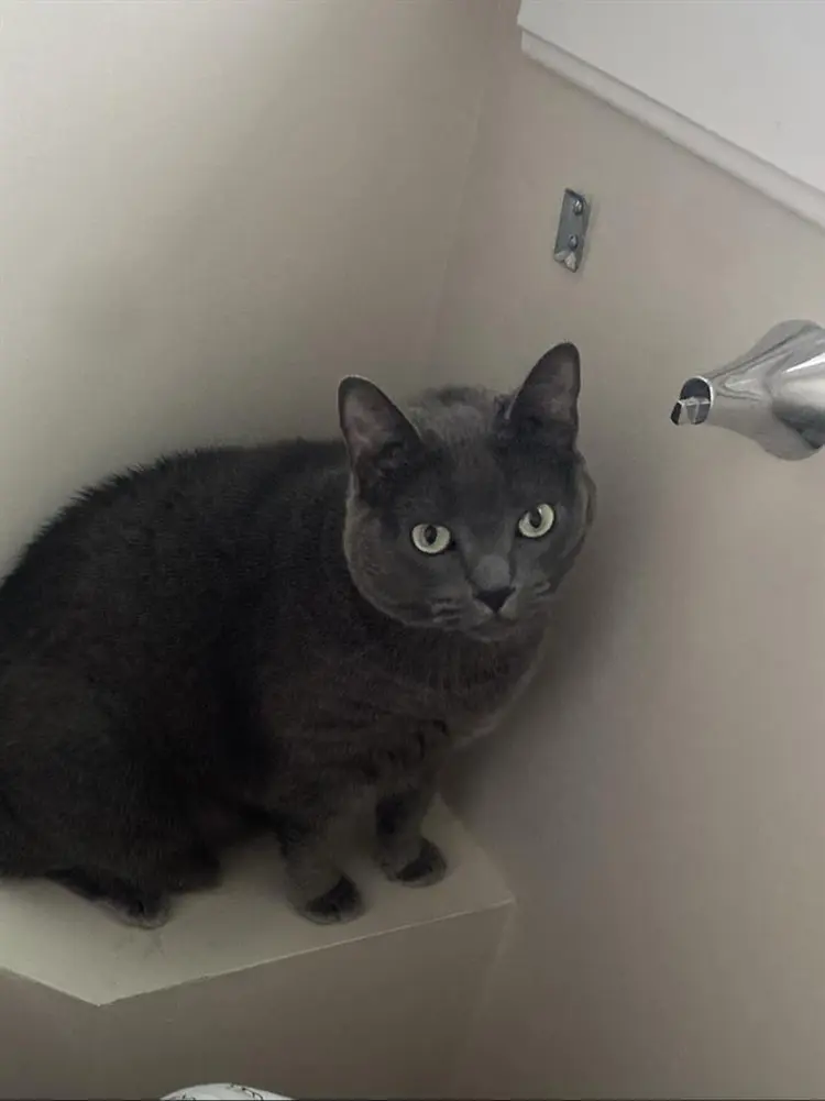 Cute 3 bed apartment in Salem
