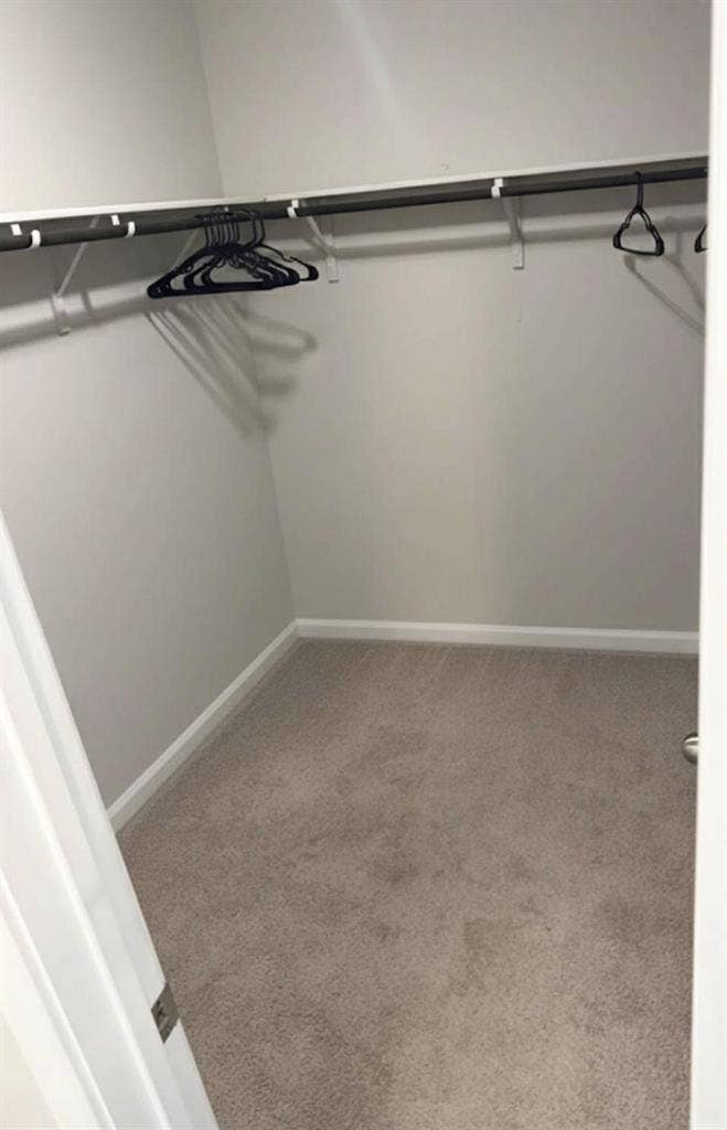 Private room and bath- $875