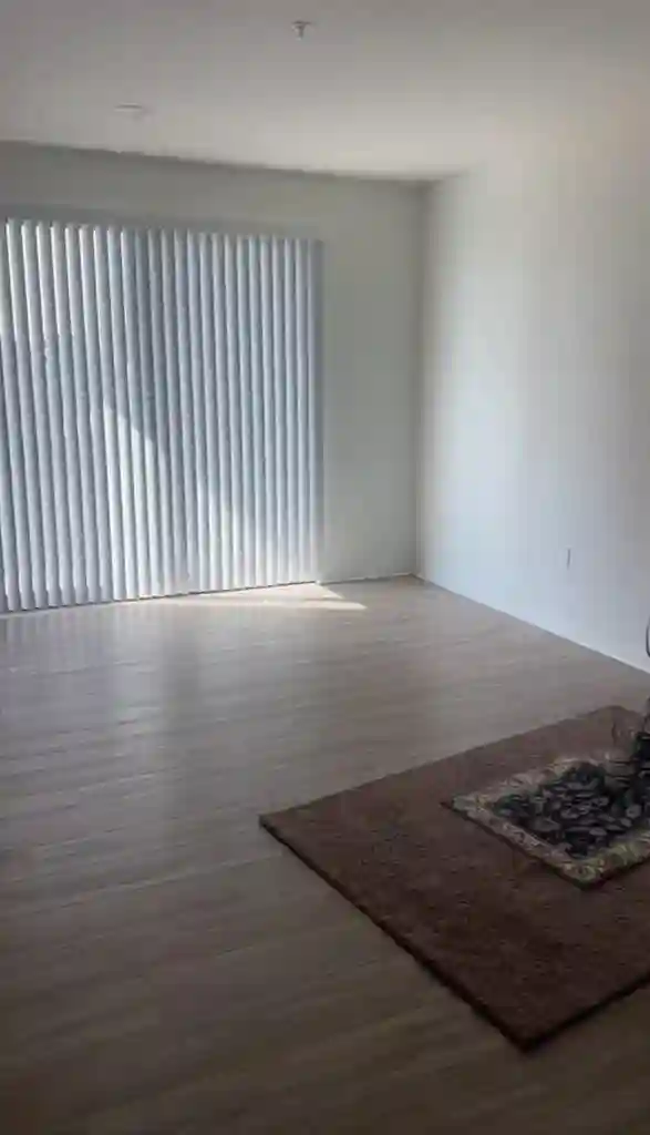 Looking for a roommate!