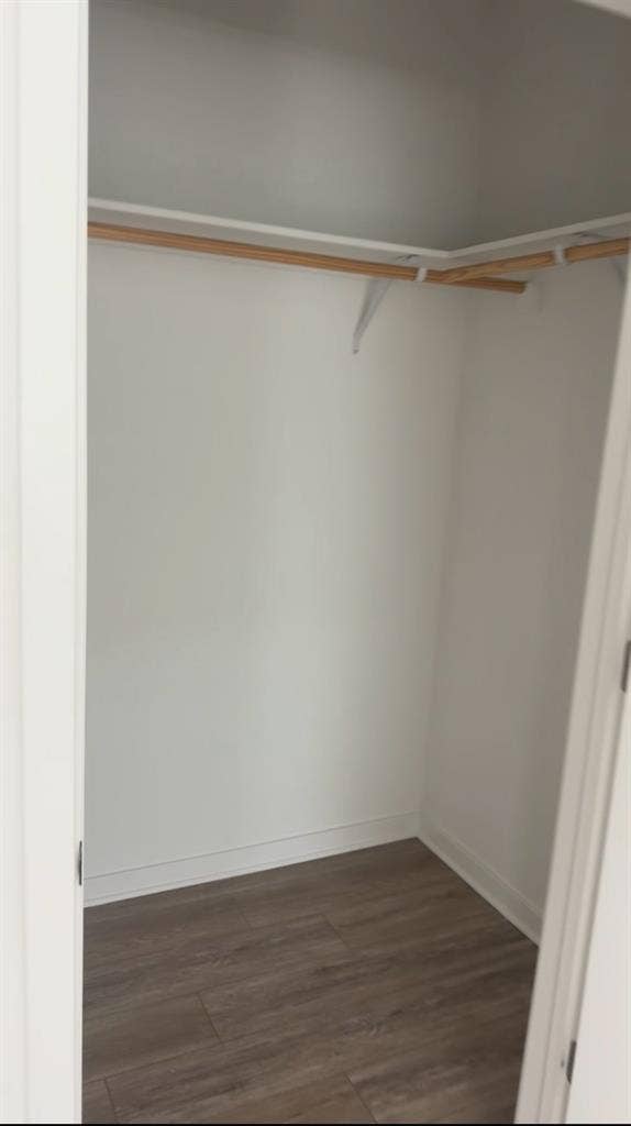 Looking for a roommate!