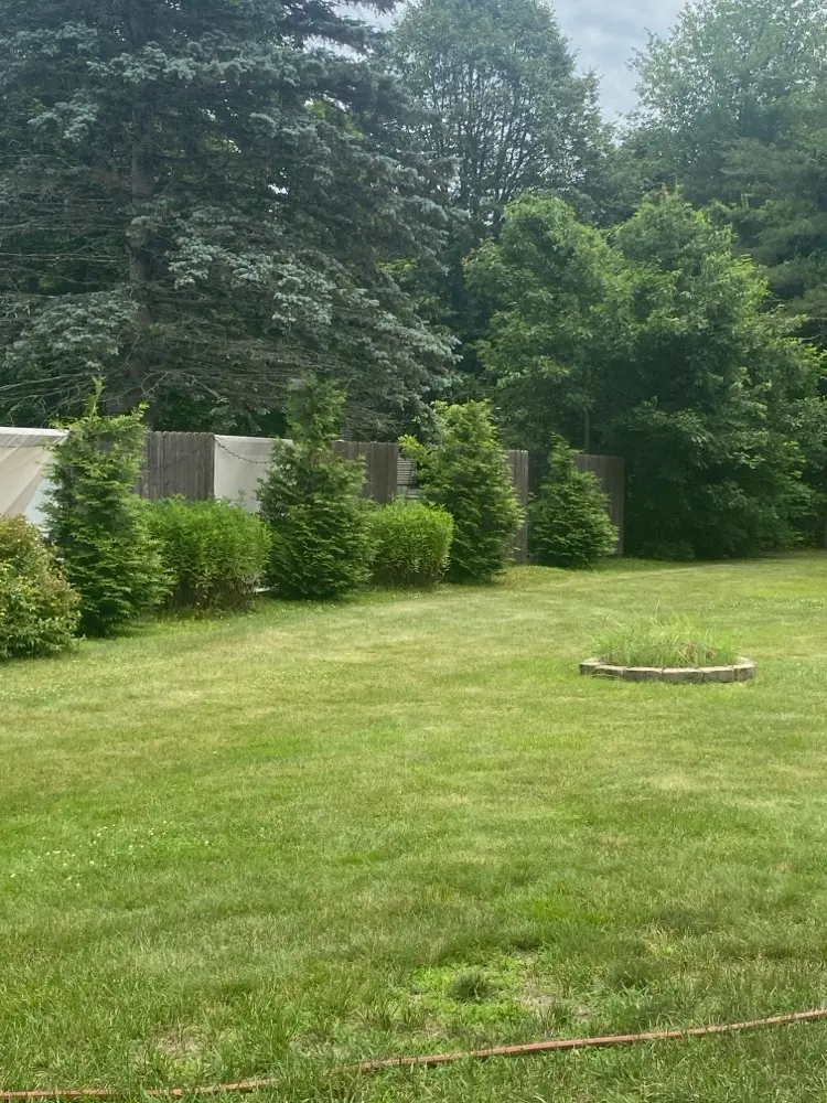 Cozy studio apt fully furnished