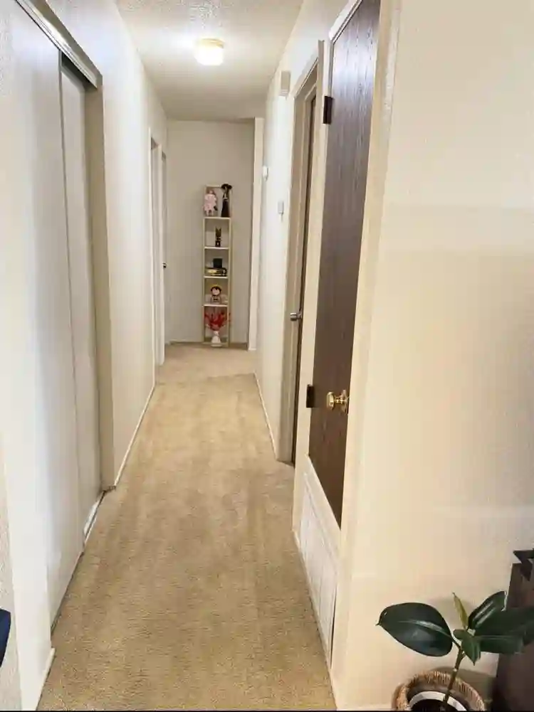 $850 furnished room all included