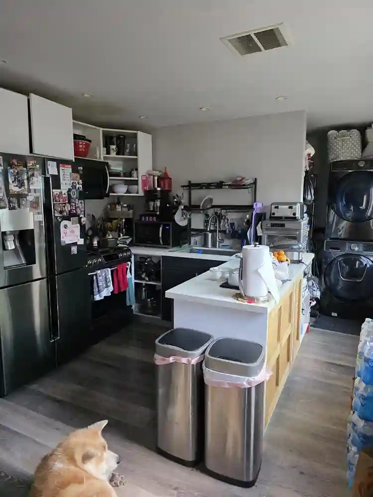 Looking for RELIABLE roommate.
