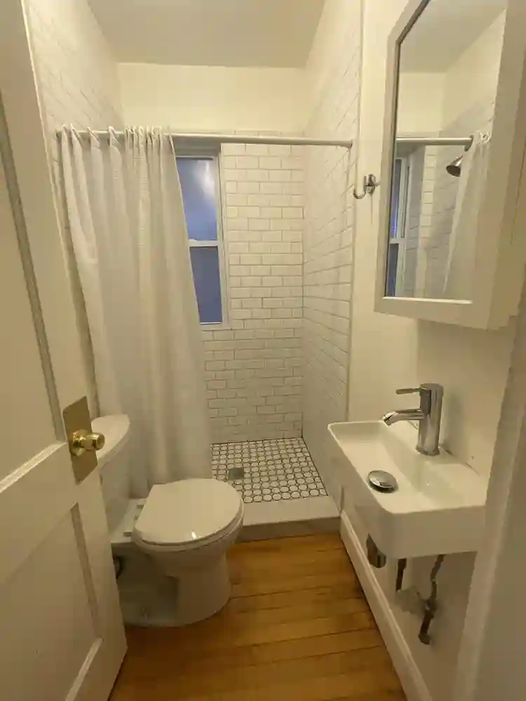 Female Roommates Wanted