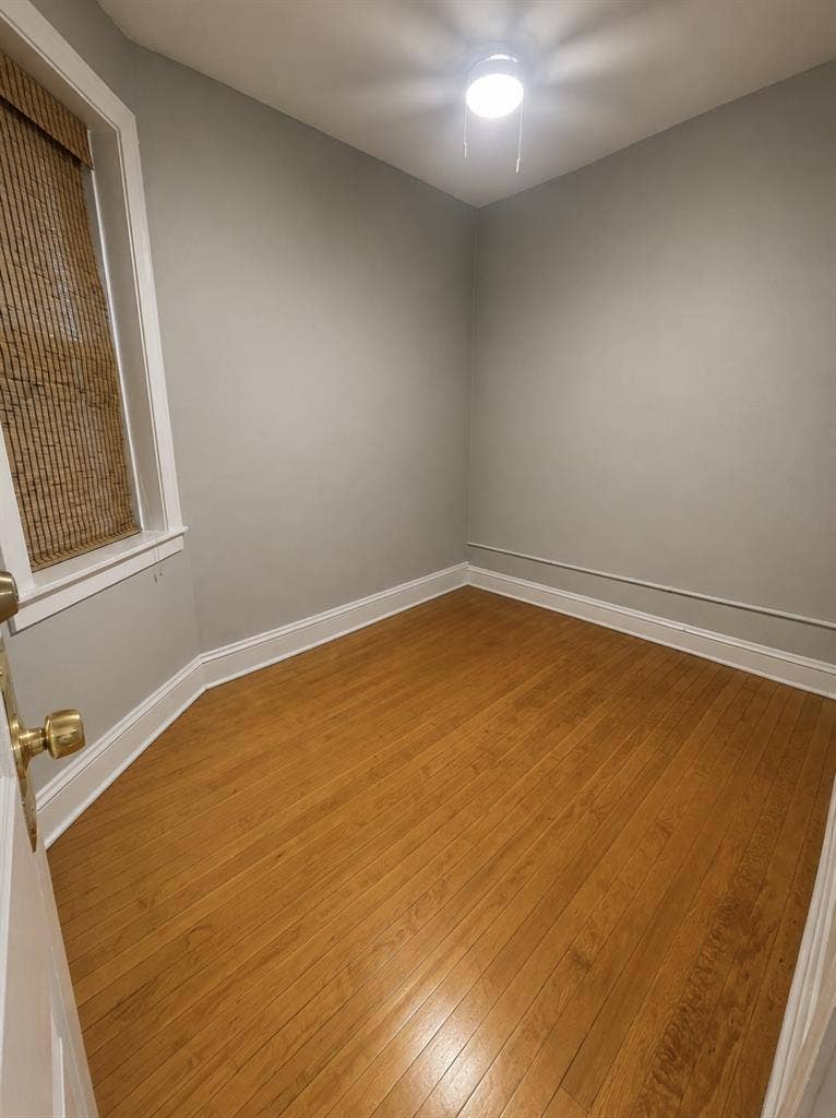 Female Roommates Wanted