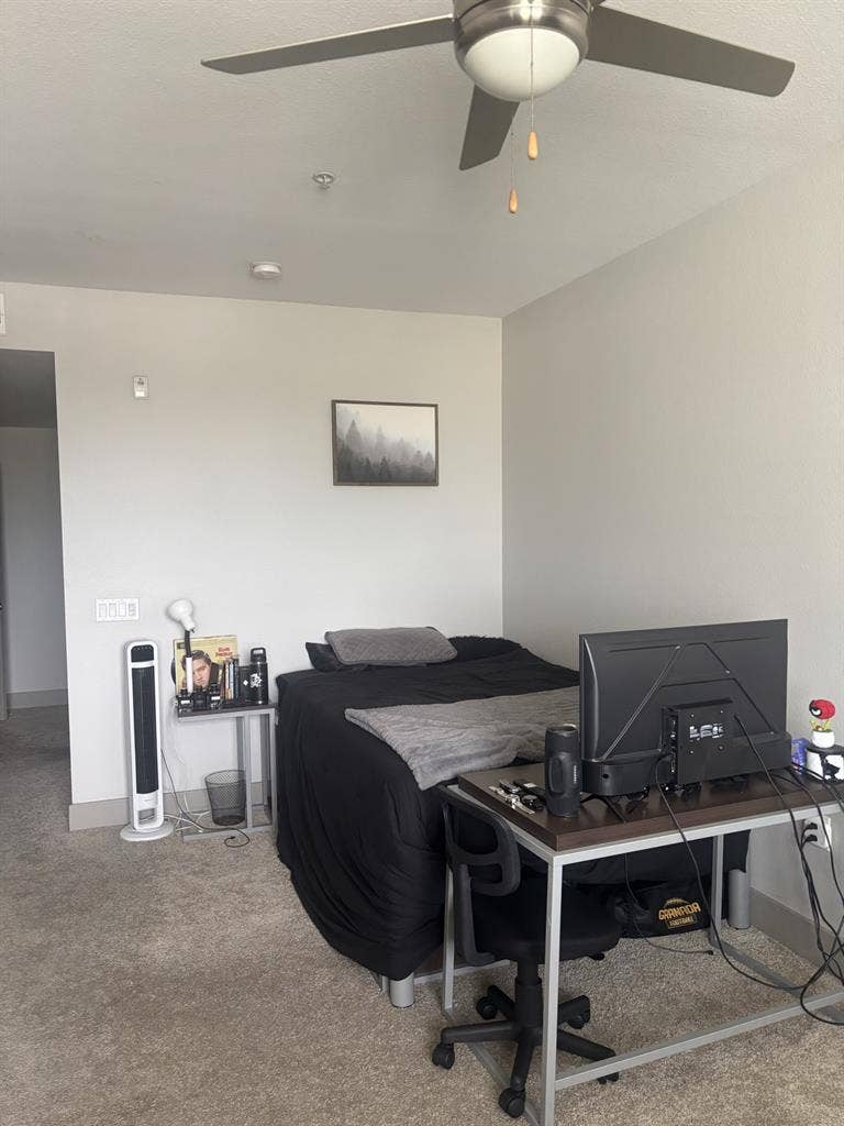 Fully furnished shared bedroomm