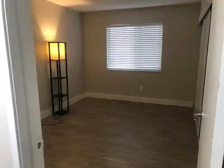 Roommate needed