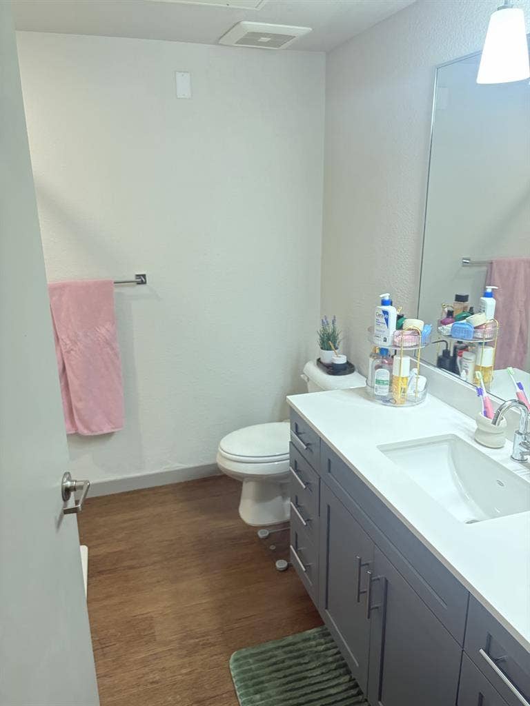Studio for rent