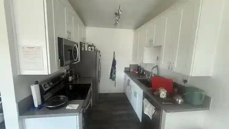 Looking for female roommate ASAP