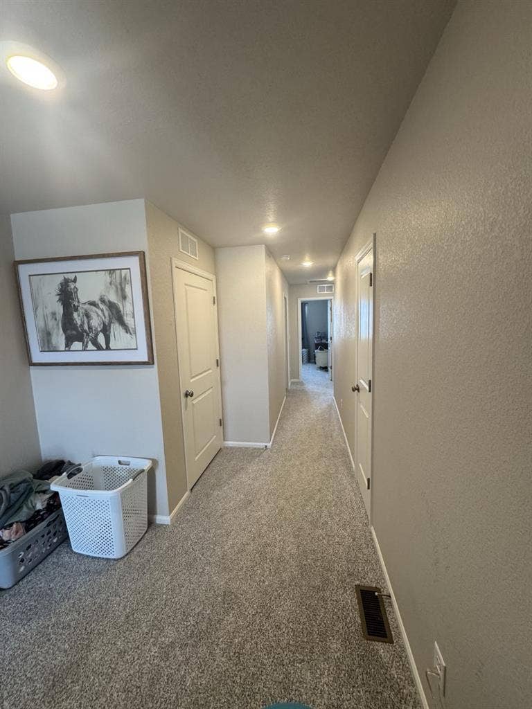 Need a roommate asap