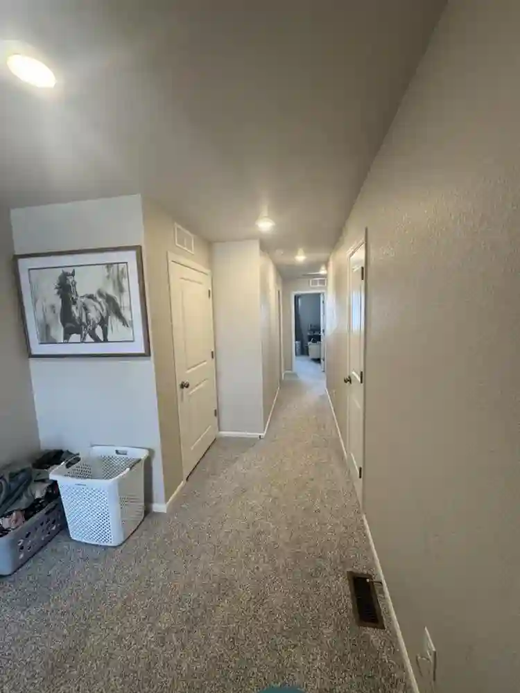 Need a roommate asap