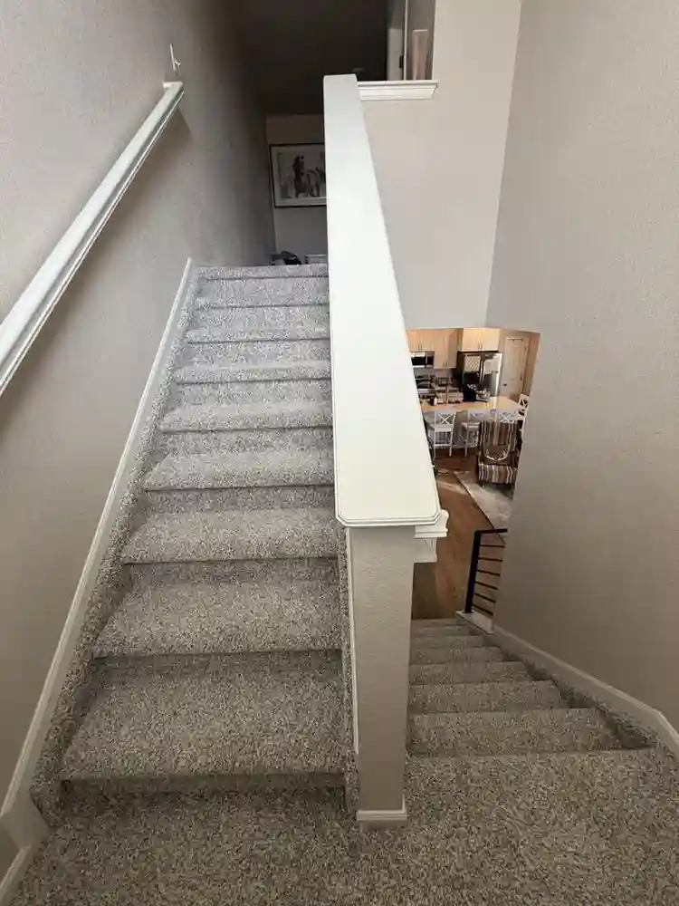 Need a roommate asap