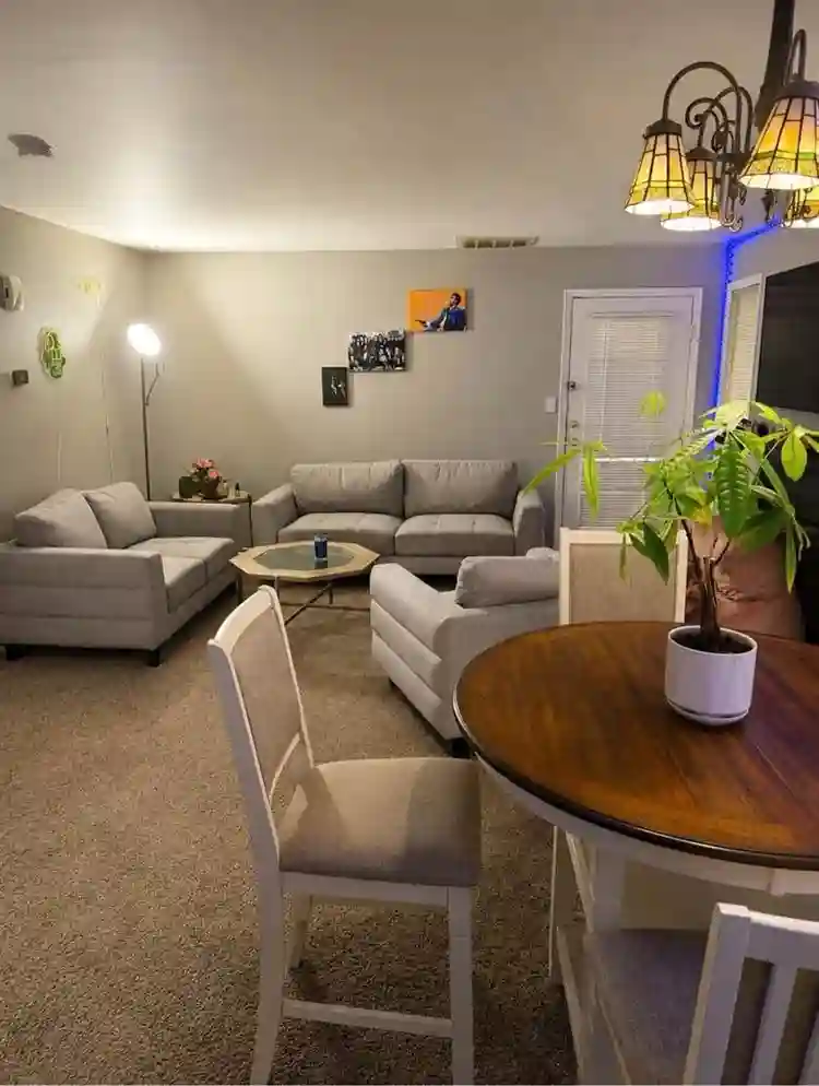 Seeking a roommate