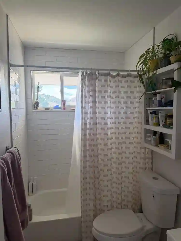 Need a roommate in Golden