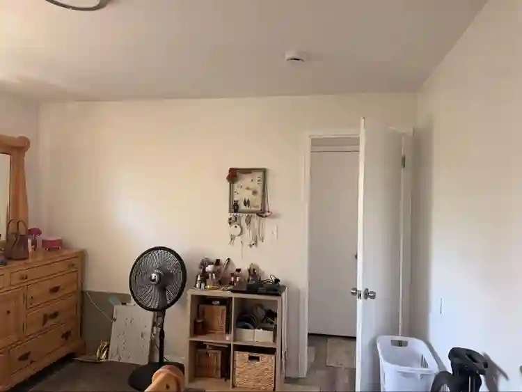 Need a roommate in Golden