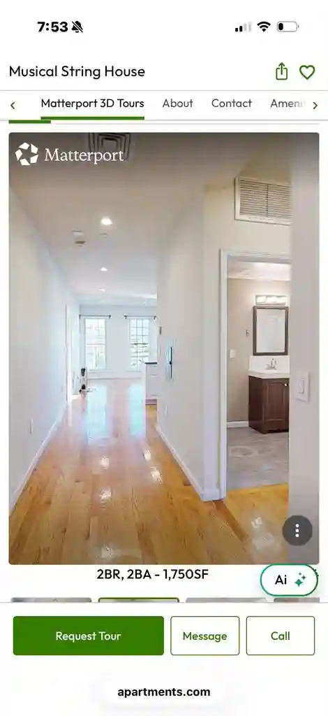 Young Professional Seeking Roommate