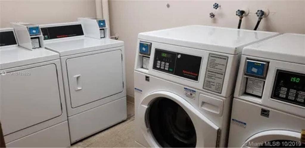 Female Roommate 50+
