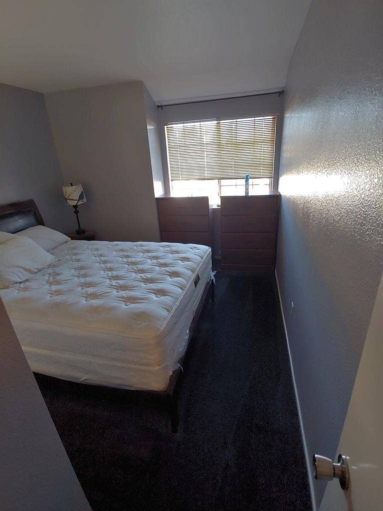 Looking for roommates for my house.
