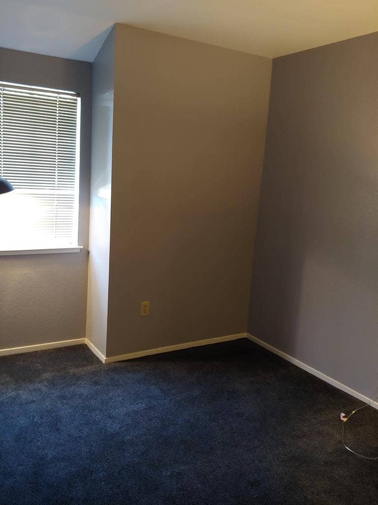 Looking for roommates for my house.