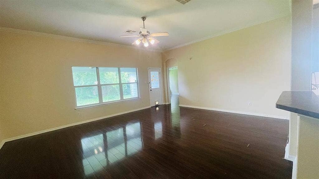 3 BR in Austin