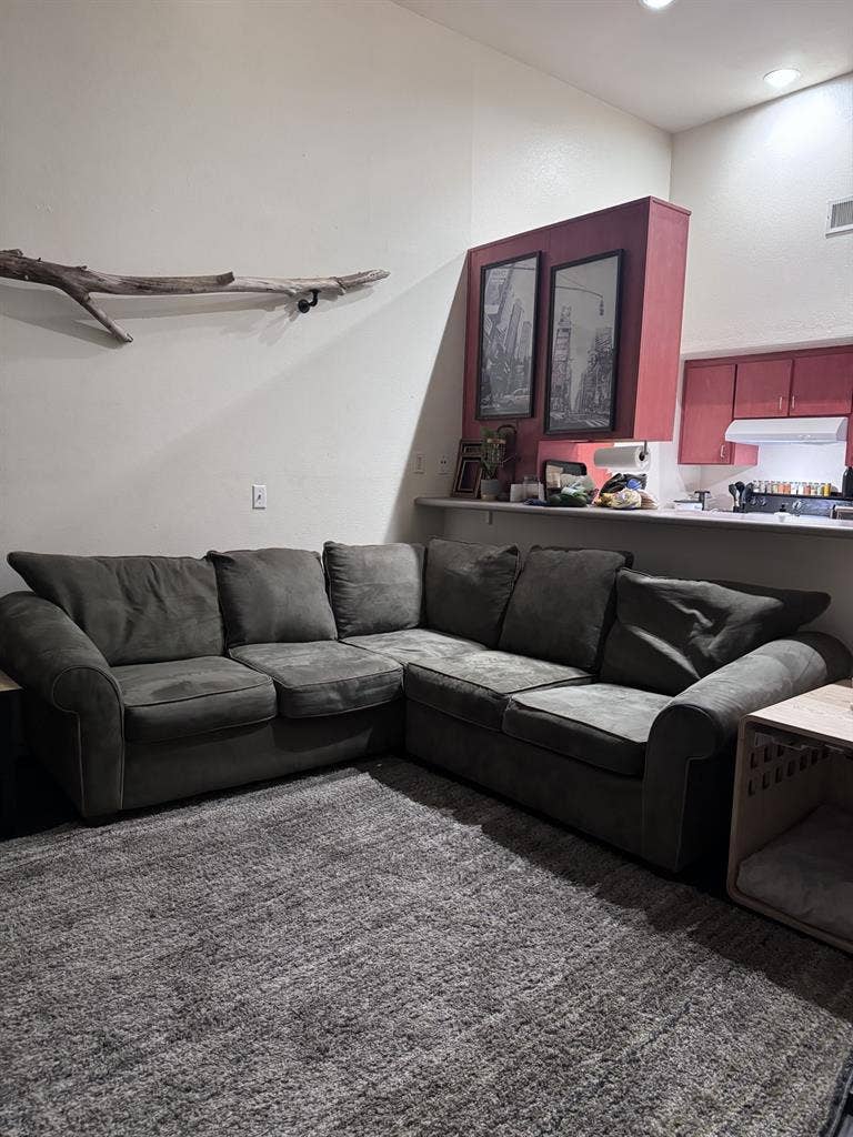 LITTLE ITALY MOVE IN SEPT. 1