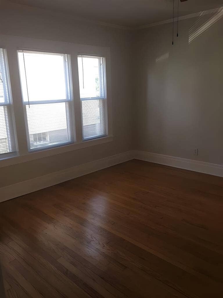 Room Near SU and Barry Park!