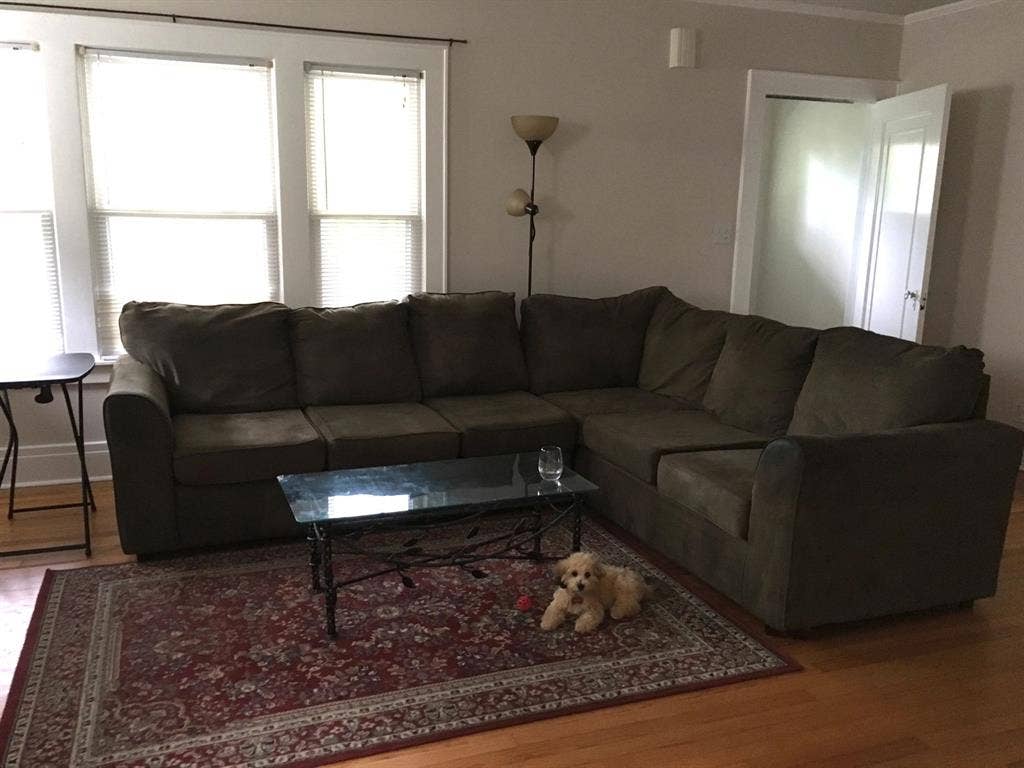 Room Near SU and Barry Park!