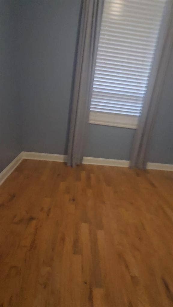 Need a Roommate for Downtown Gboro!