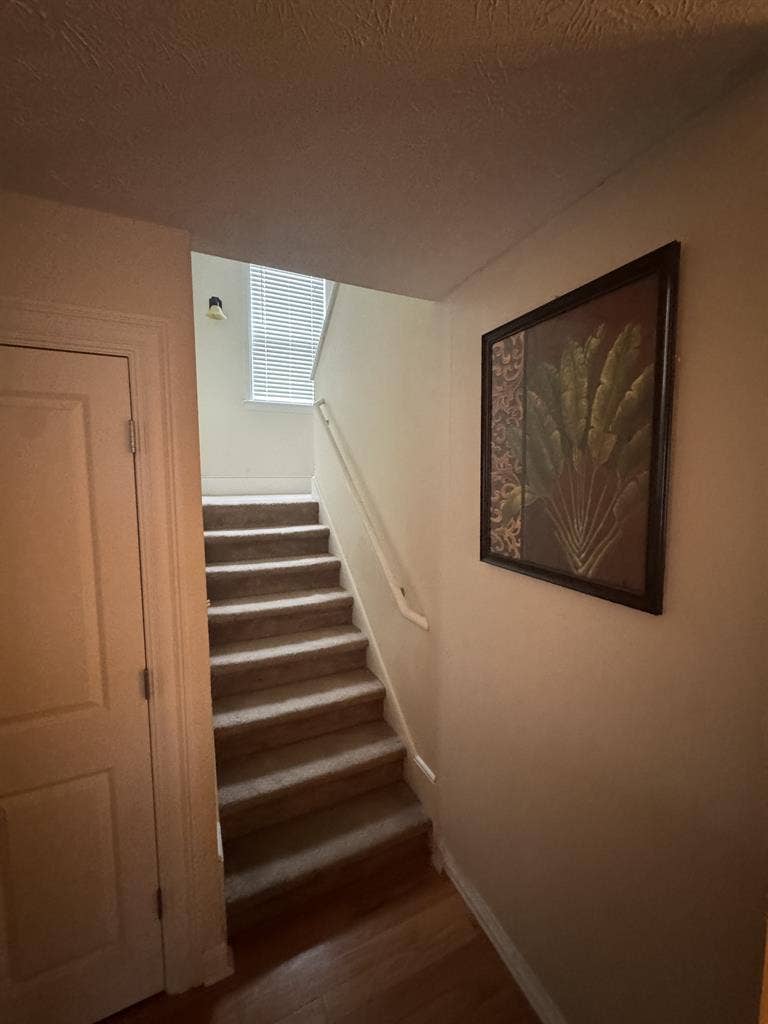 3BR/2BA Home in the Heart of Indy