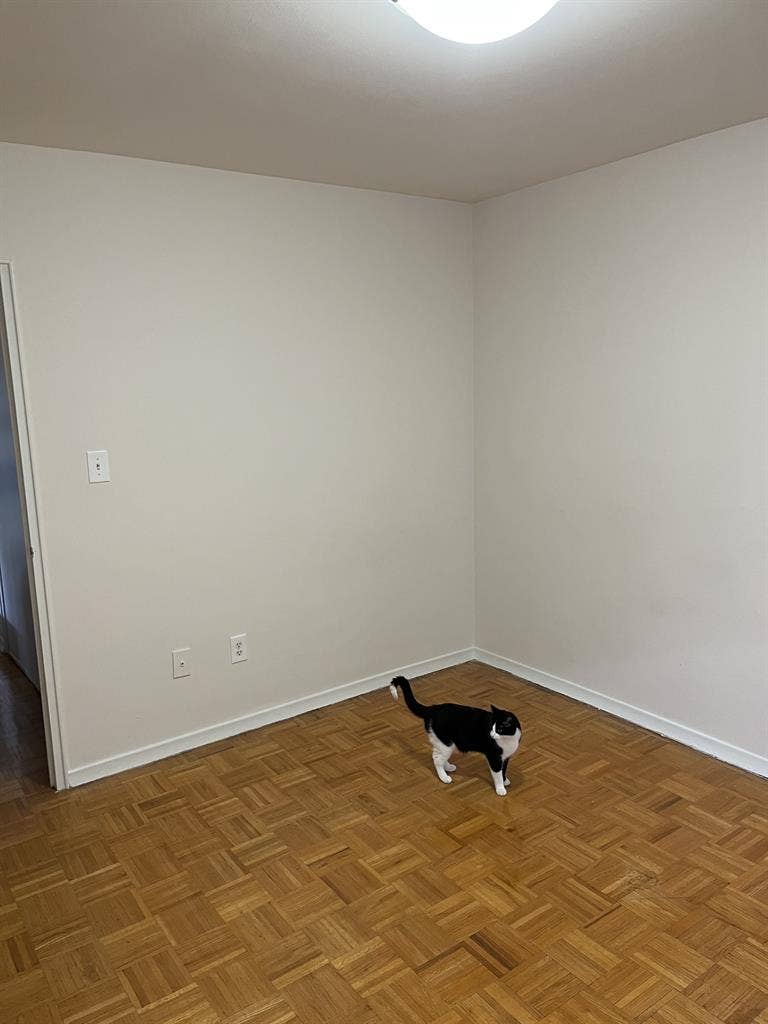 1 bedroom across from High Park