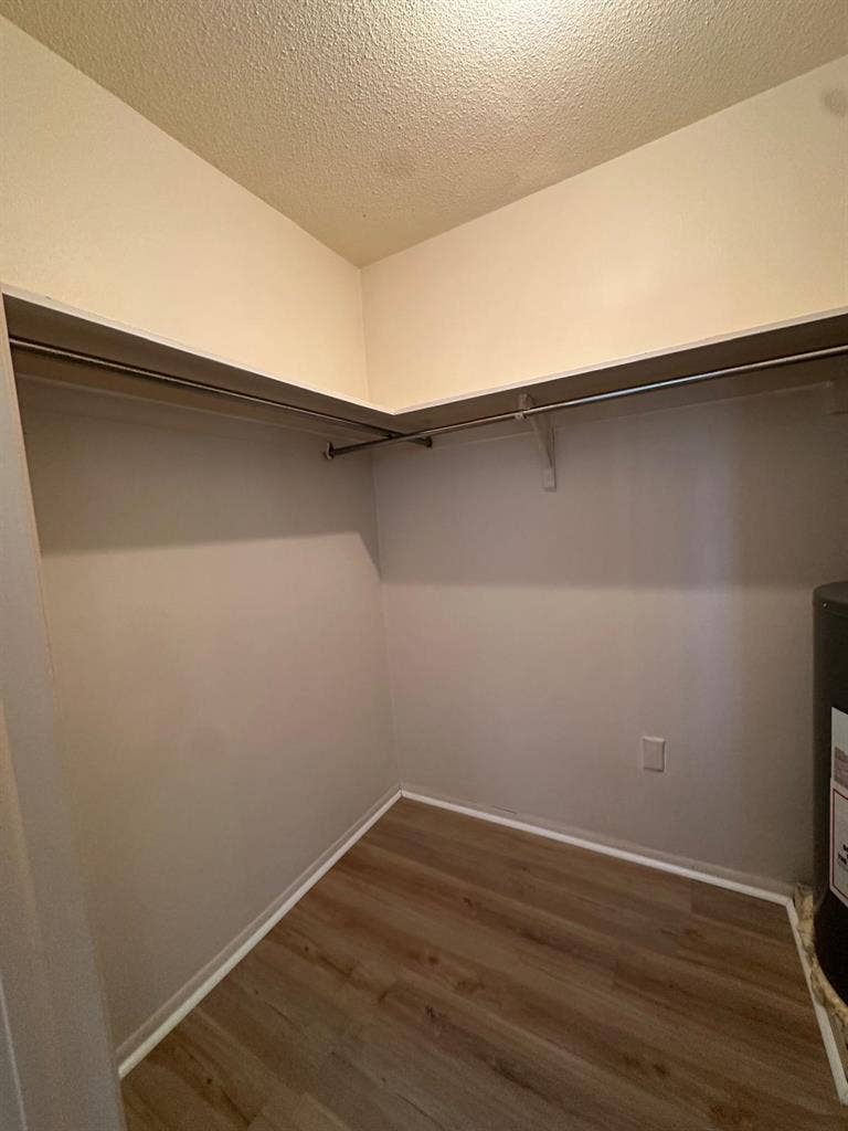 Beautiful 1-bedroom in Clearwater