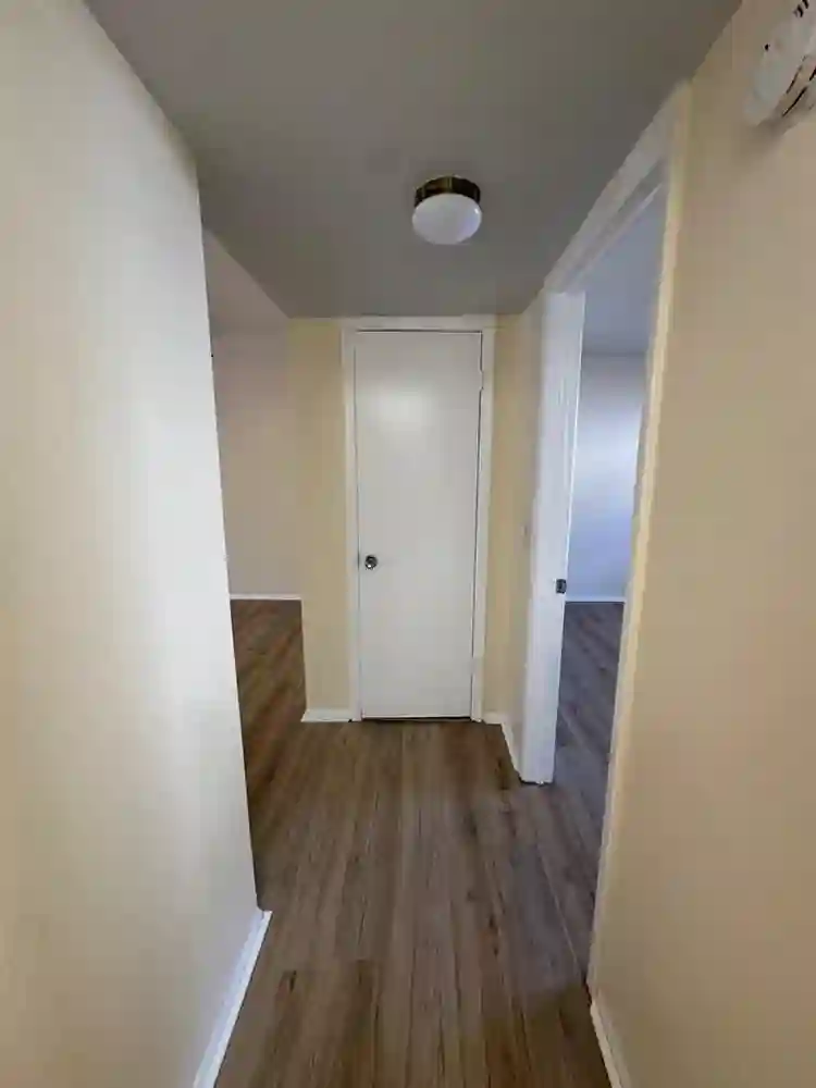 Beautiful 1-bedroom in Clearwater